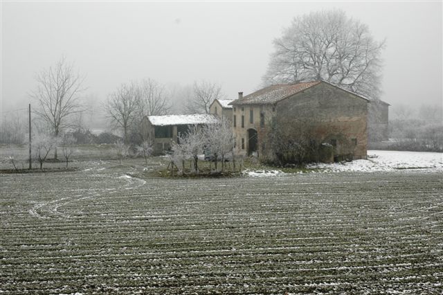 DSC 0075